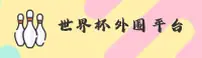 【官网】世界杯外围网站|世界杯外围网站官方平台|中文正版入口